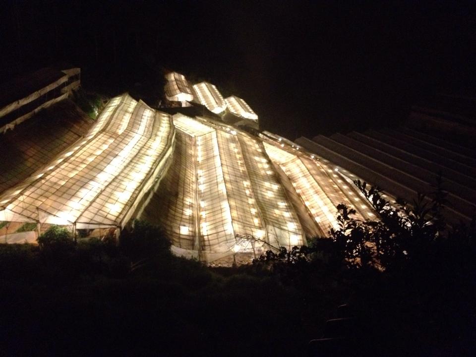 Beautiful night view from my window... 