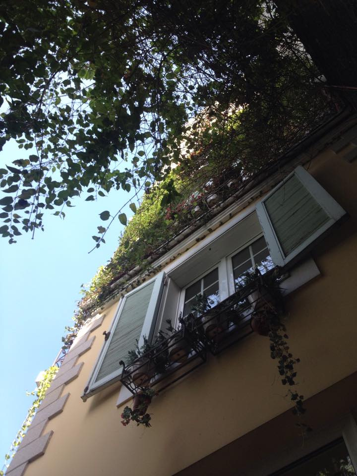 11791679_10201020404309602_488970527_n