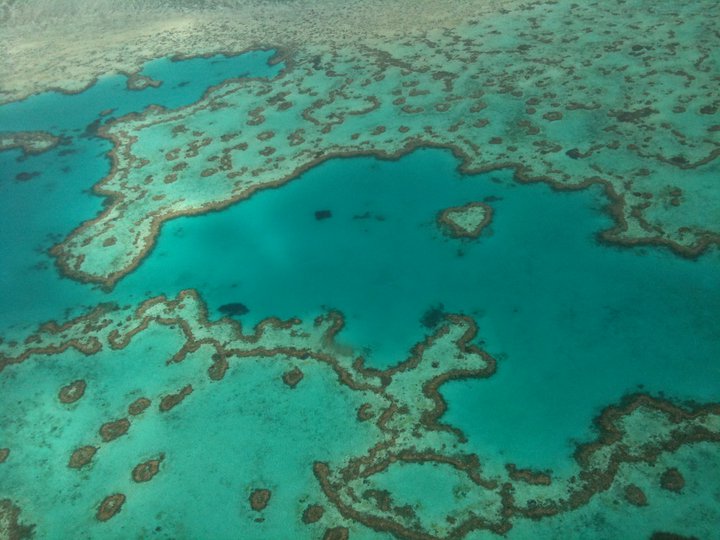 38718_1166092409786_3634715_n