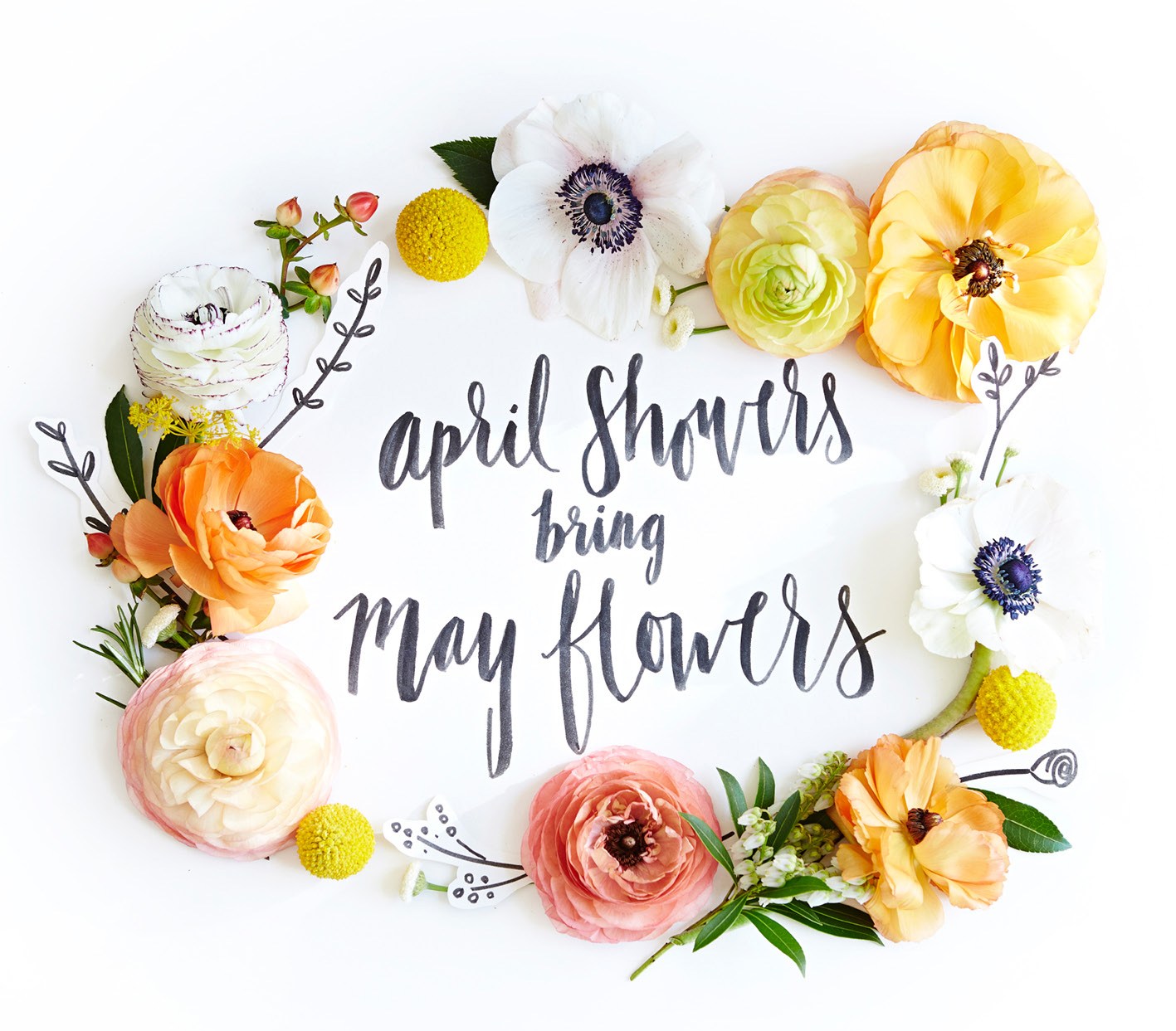 camppretty_mayflowers