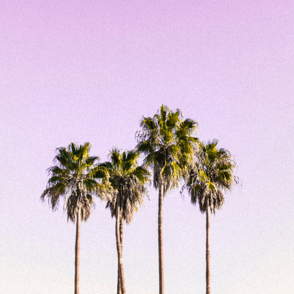 Things that you don’t get to choose